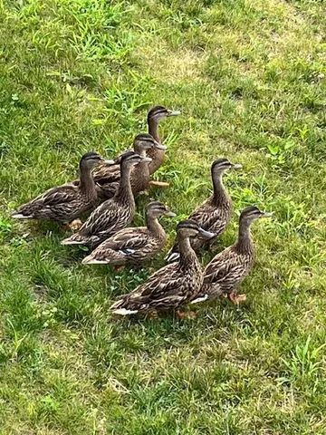 $469,900 | 26 Walnut Street, Unit C2, Old Orchard Beach, ME 04064