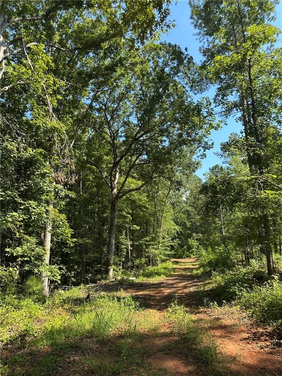 2470 Fears Road Madison, GA 30650 - Photo 11 of 48 a view of a yard with an trees