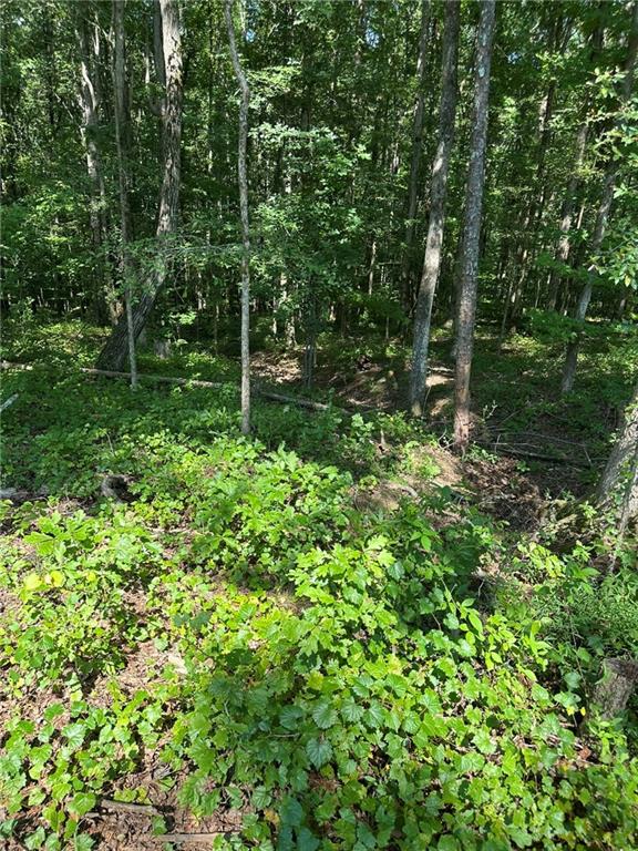 2470 Fears Road Madison, GA 30650 - Photo 12 of 48 a backyard of a house with lots of green space