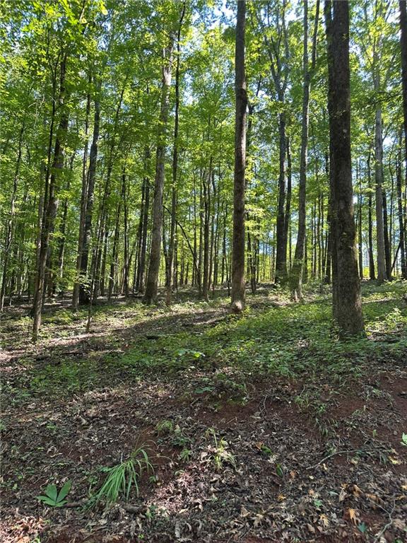 2470 Fears Road Madison, GA 30650 - Photo 13 of 48 a view of outdoor space and green space