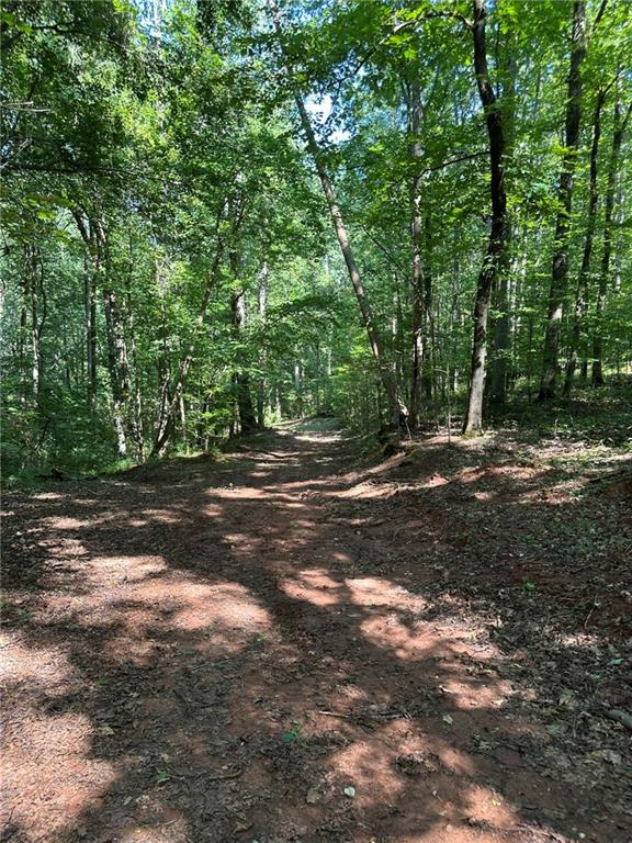 2470 Fears Road Madison, GA 30650 - Photo 14 of 48 a view of outdoor space with trees