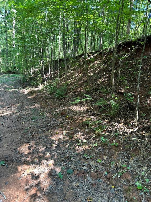 2470 Fears Road Madison, GA 30650 - Photo 16 of 48 a view of forest