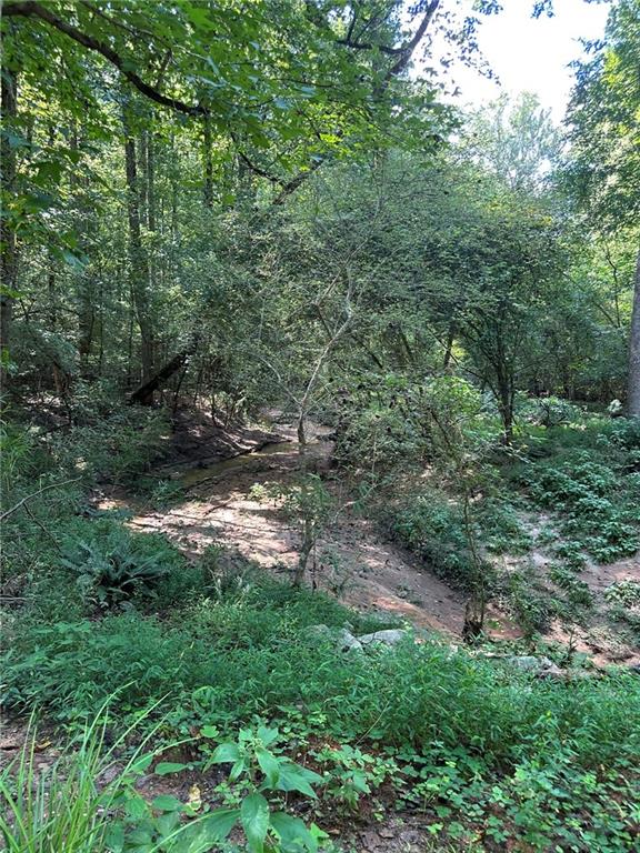 2470 Fears Road Madison, GA 30650 - Photo 17 of 48 a backyard of a house with lots of green space