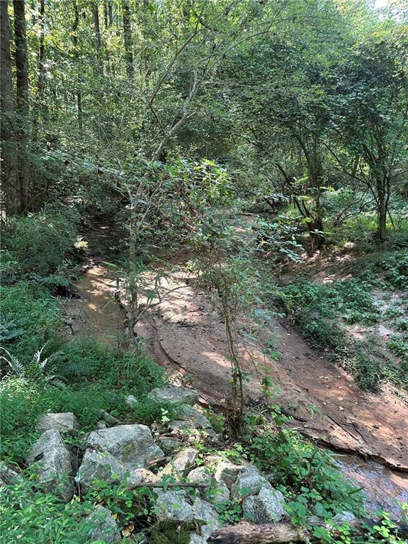 2470 Fears Road Madison, GA 30650 - Photo 19 of 48 a view of a forest with trees