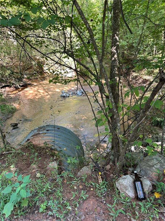 2470 Fears Road Madison, GA 30650 - Photo 20 of 48 a view of a dry yard with trees