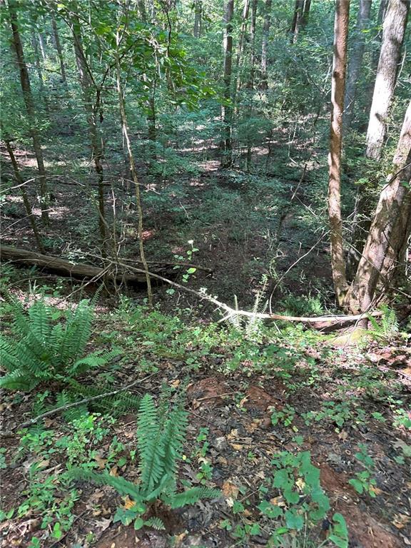 2470 Fears Road Madison, GA 30650 - Photo 2 of 48 a plant of the trees