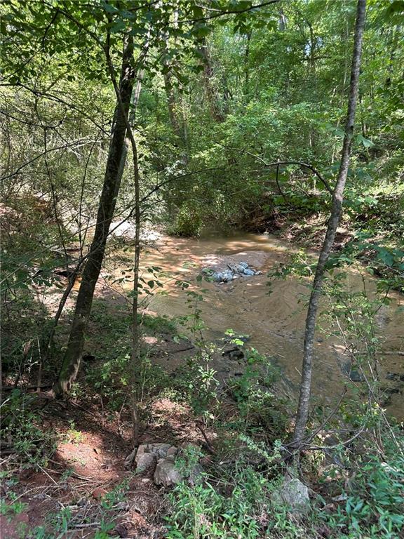 2470 Fears Road Madison, GA 30650 - Photo 21 of 48 a view of forest