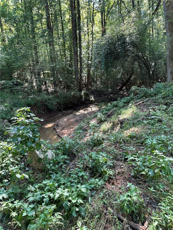 2470 Fears Road Madison, GA 30650 - Photo 22 of 48 a backyard of a house with lots of green space