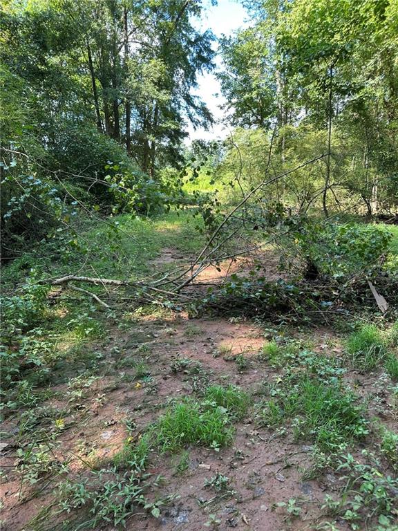 2470 Fears Road Madison, GA 30650 - Photo 23 of 48 a big yard with lots of green space and deers