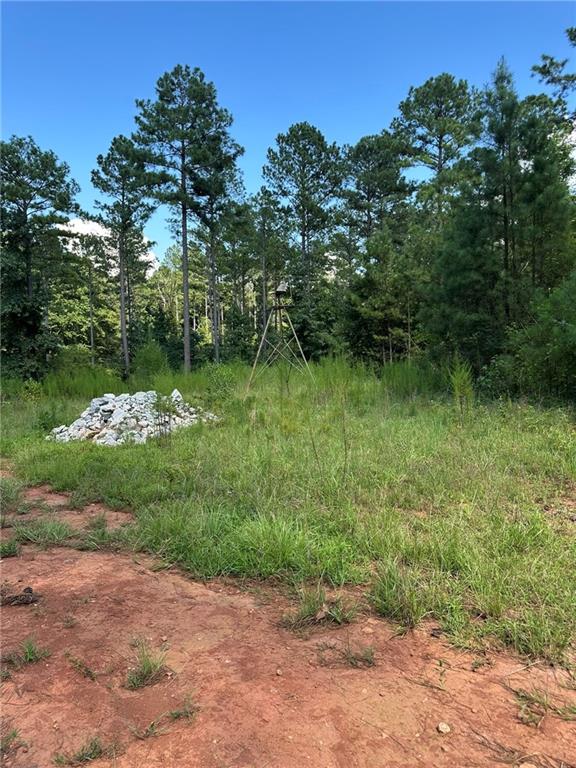 2470 Fears Road Madison, GA 30650 - Photo 3 of 48 a backyard of a house with lots of green space