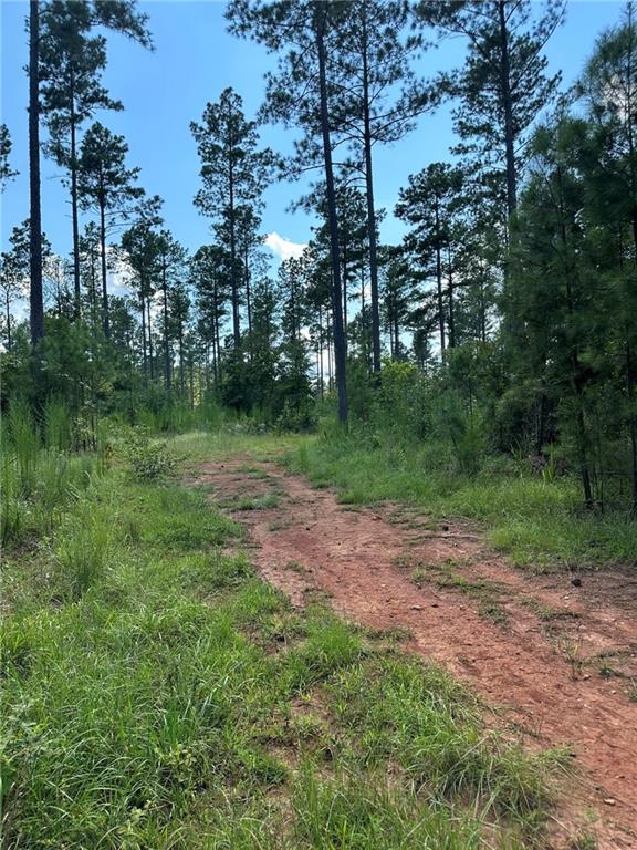 2470 Fears Road Madison, GA 30650 - Photo 32 of 48 a view of a forest