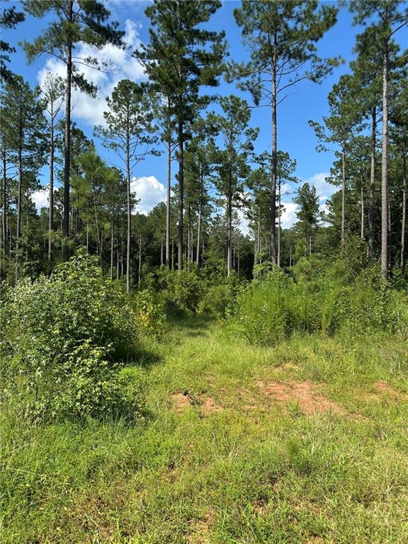 2470 Fears Road Madison, GA 30650 - Photo 33 of 48 a view of outdoor space and yard