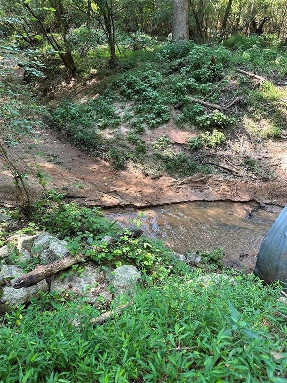 2470 Fears Road Madison, GA 30650 - Photo 34 of 48 a view of a yard with plants and large trees