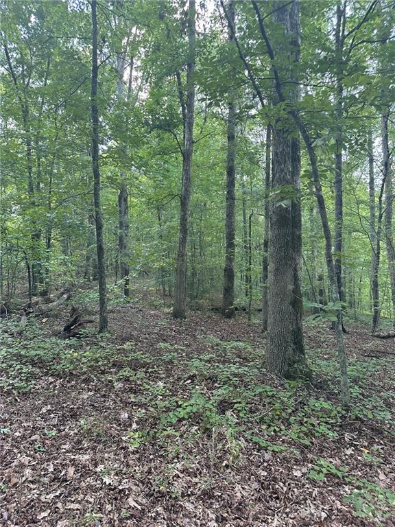 2470 Fears Road Madison, GA 30650 - Photo 36 of 48 a view of a forest that has large trees
