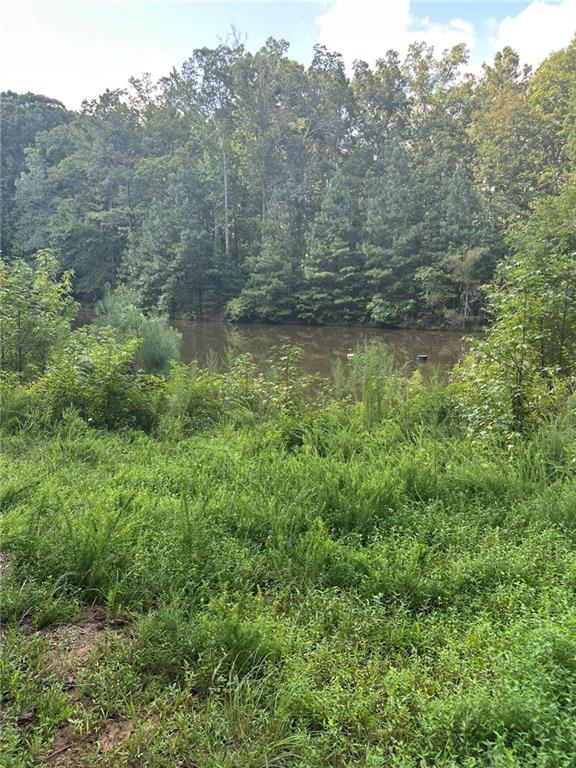 2470 Fears Road Madison, GA 30650 - Photo 37 of 48 a view of a forest with a houses