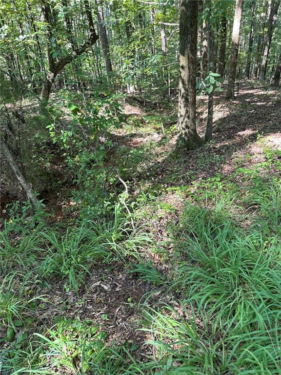 2470 Fears Road Madison, GA 30650 - Photo 40 of 48 a view of a yard with large trees