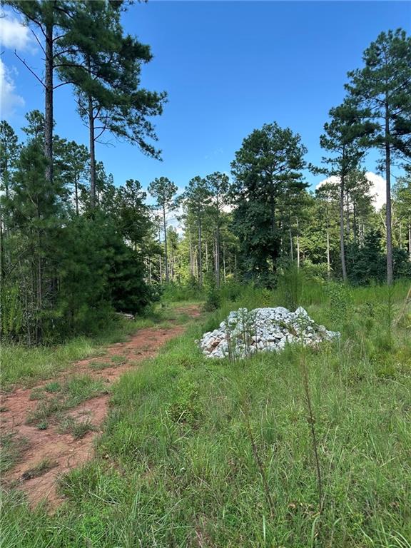 2470 Fears Road Madison, GA 30650 - Photo 4 of 48 a view of a lake with a yard