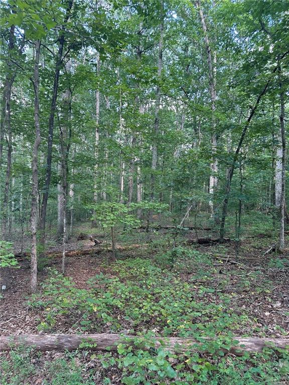 2470 Fears Road Madison, GA 30650 - Photo 43 of 48 a view of a forest with trees in the background