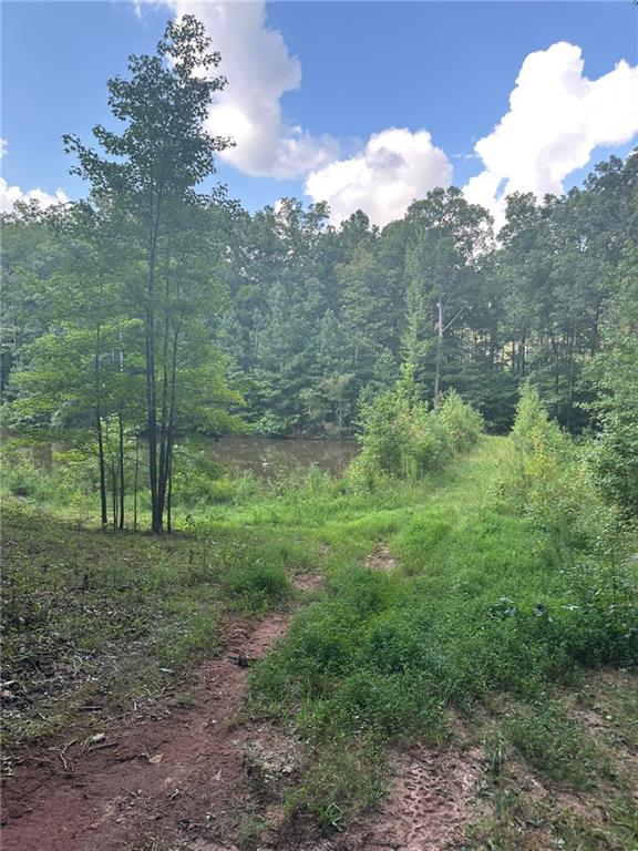 2470 Fears Road Madison, GA 30650 - Photo 44 of 48 a view of a field