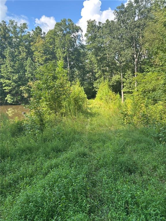 2470 Fears Road Madison, GA 30650 - Photo 45 of 48 a view of a forest