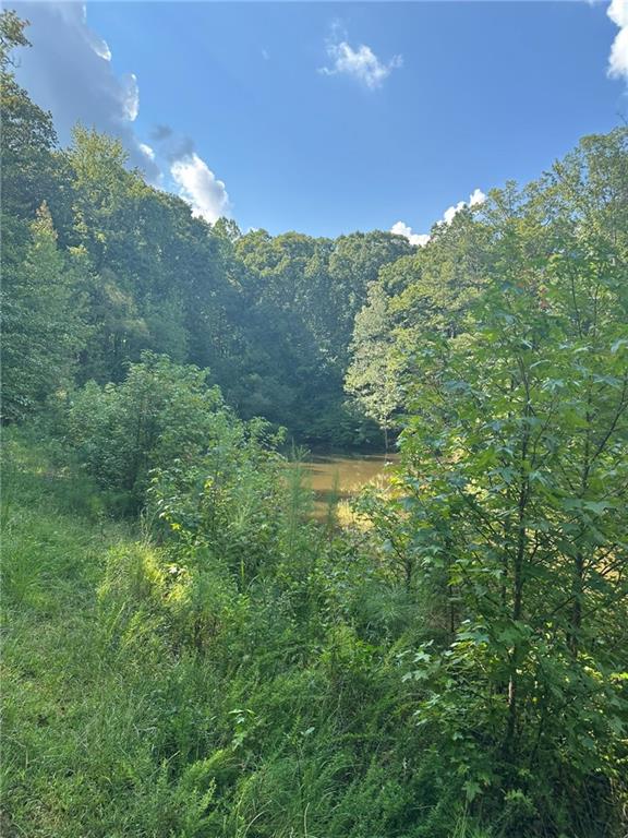 2470 Fears Road Madison, GA 30650 - Photo 47 of 48 a view of a green yard
