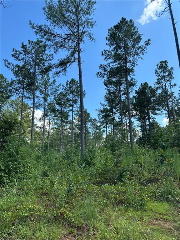 2470 Fears Road Madison, GA 30650 - Photo 5 of 48 a view of a garden