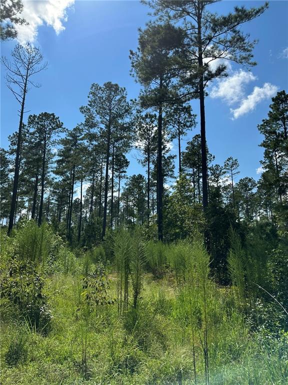 2470 Fears Road Madison, GA 30650 - Photo 6 of 48 a view of a garden