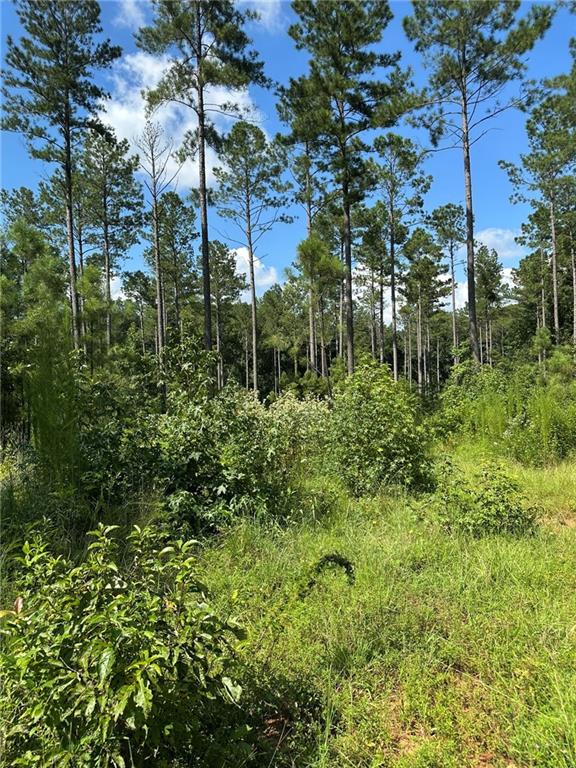 2470 Fears Road Madison, GA 30650 - Photo 7 of 48 a view of a garden