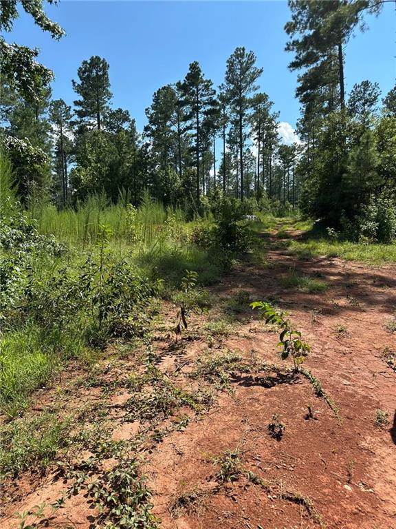 2470 Fears Road Madison, GA 30650 - Photo 9 of 48 a backyard of a house with lots of green space