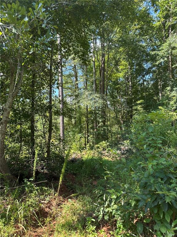 2470 Fears Road Madison, GA 30650 - Photo 10 of 48 a view of a lush green forest