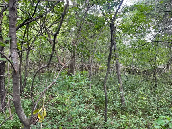 $21,000 | 23-xxx 182nd Street Northwest, Big Lake, MN 55309