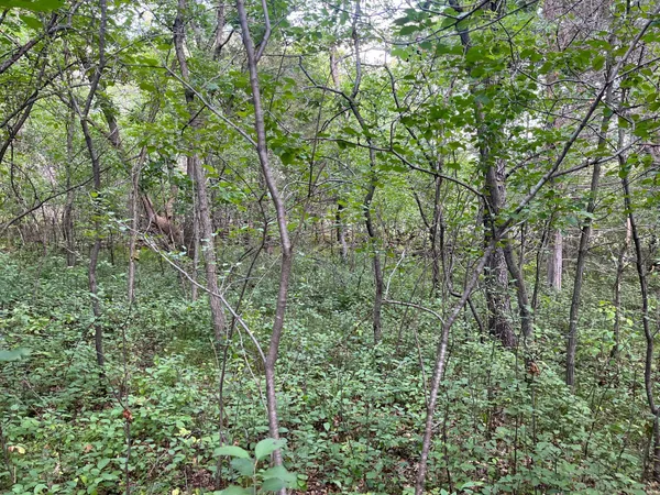 $21,000 | 23-xxx 182nd Street Northwest, Big Lake, MN 55309