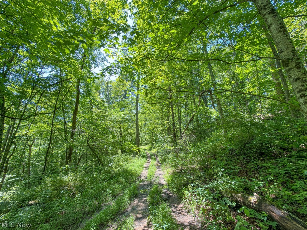 0 Twp Road Marietta, OH 45750 - Photo 33 of 50