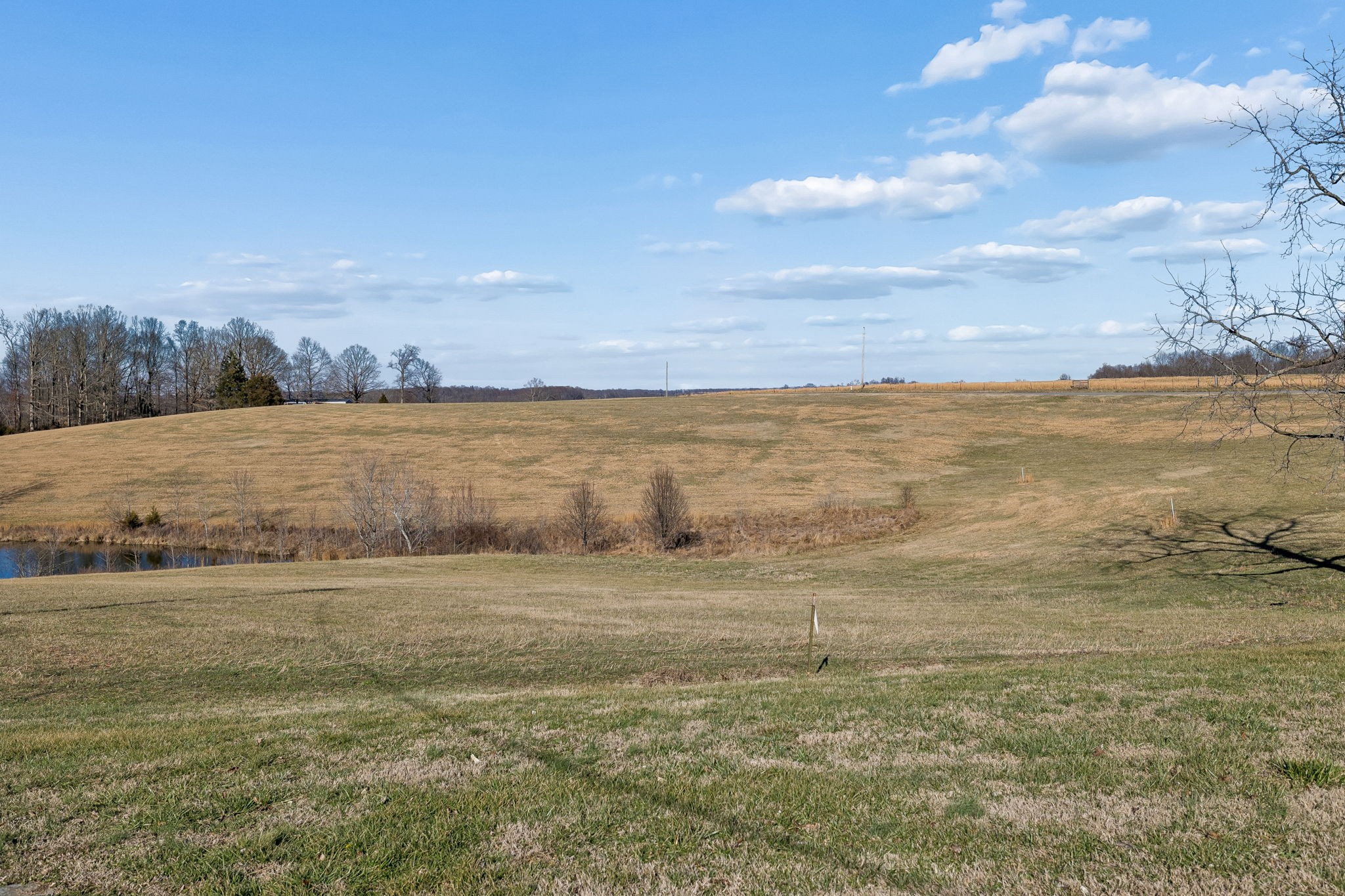 1965 Celina Road Red Boiling Springs, TN 37150 - Photo 40 of 40