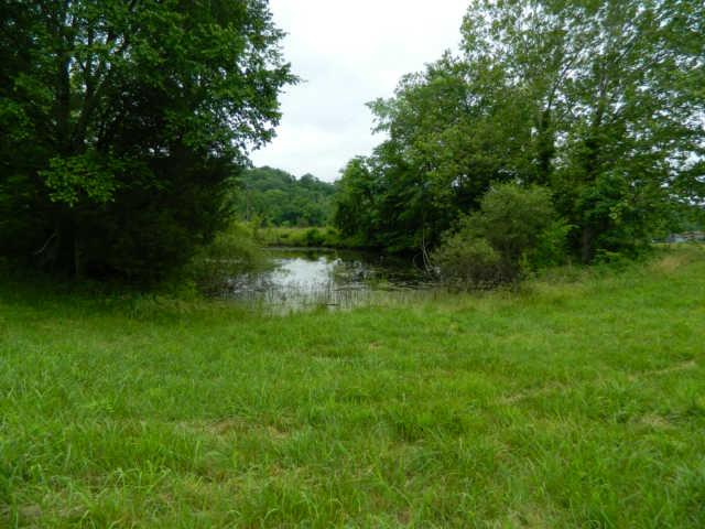 6820 Edwards Grove Road College Grove, TN 37046 - Photo 14 of 20 Gallery Image 14