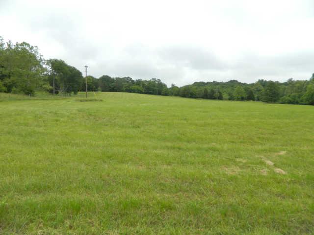 6820 Edwards Grove Road College Grove, TN 37046 - Photo 15 of 20 Gallery Image 15