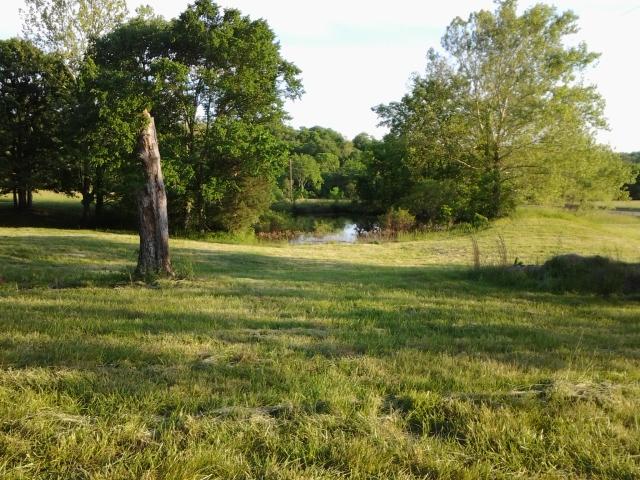 6820 Edwards Grove Road College Grove, TN 37046 - Photo 20 of 20 Gallery Image 20