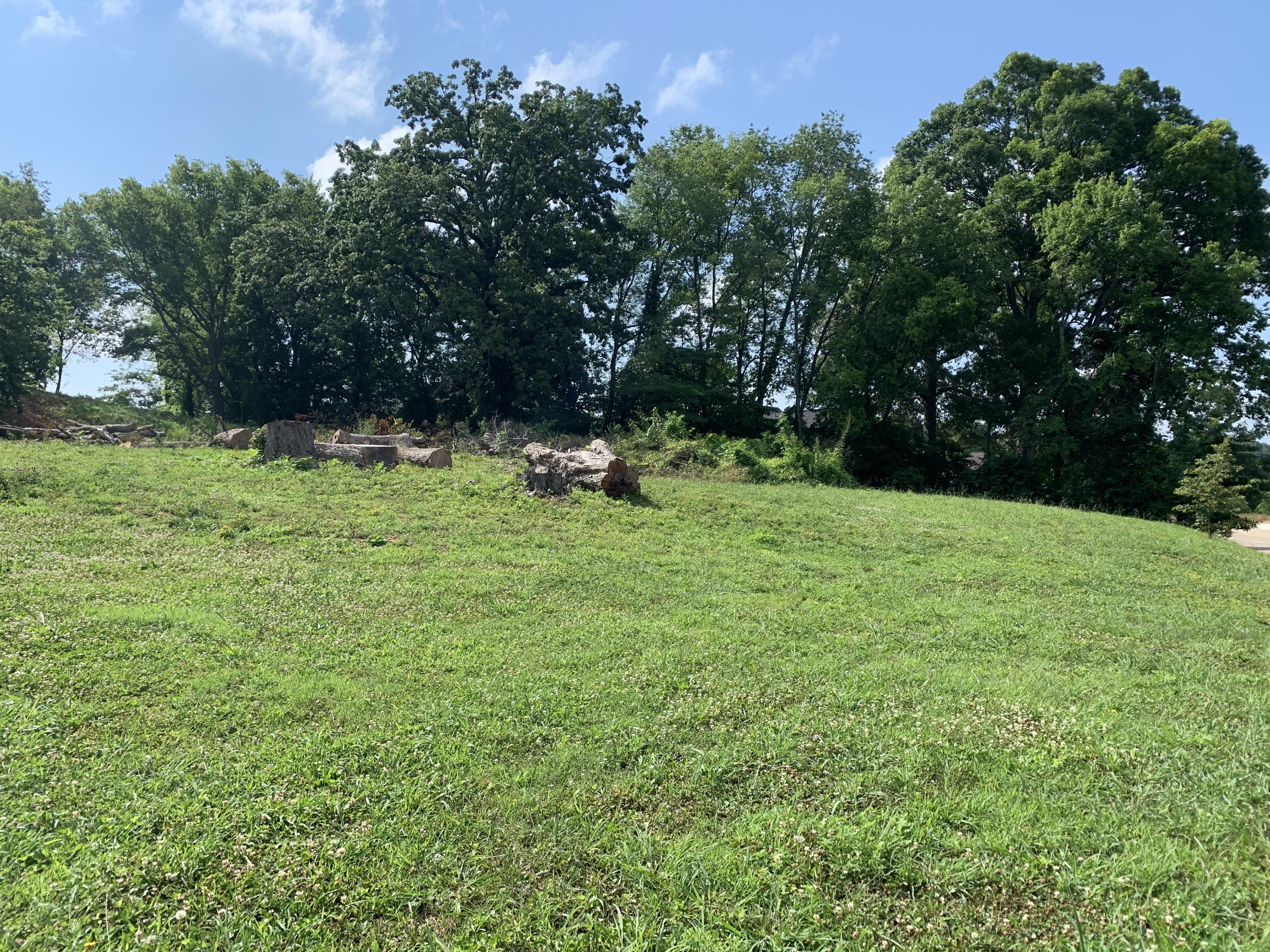 501 Loop Road Knoxville, TN 37934 - Photo 1 of 9 grass and trees