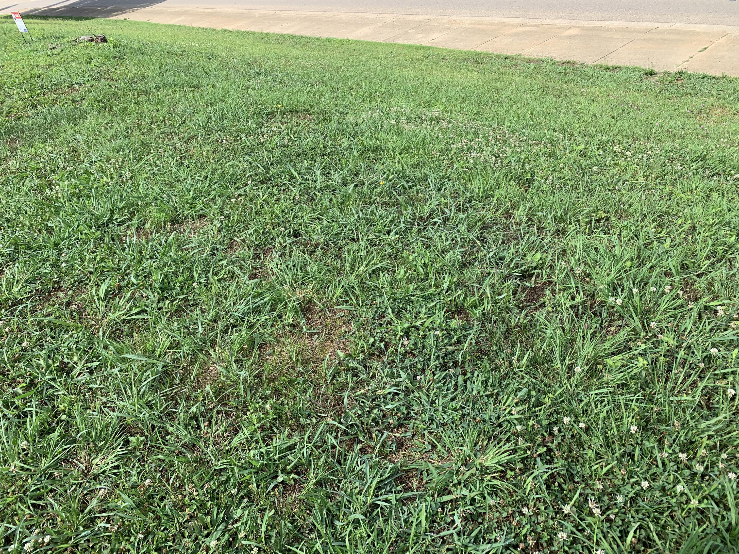 501 Loop Road Knoxville, TN 37934 - Photo 3 of 9 sidewalk of Loop