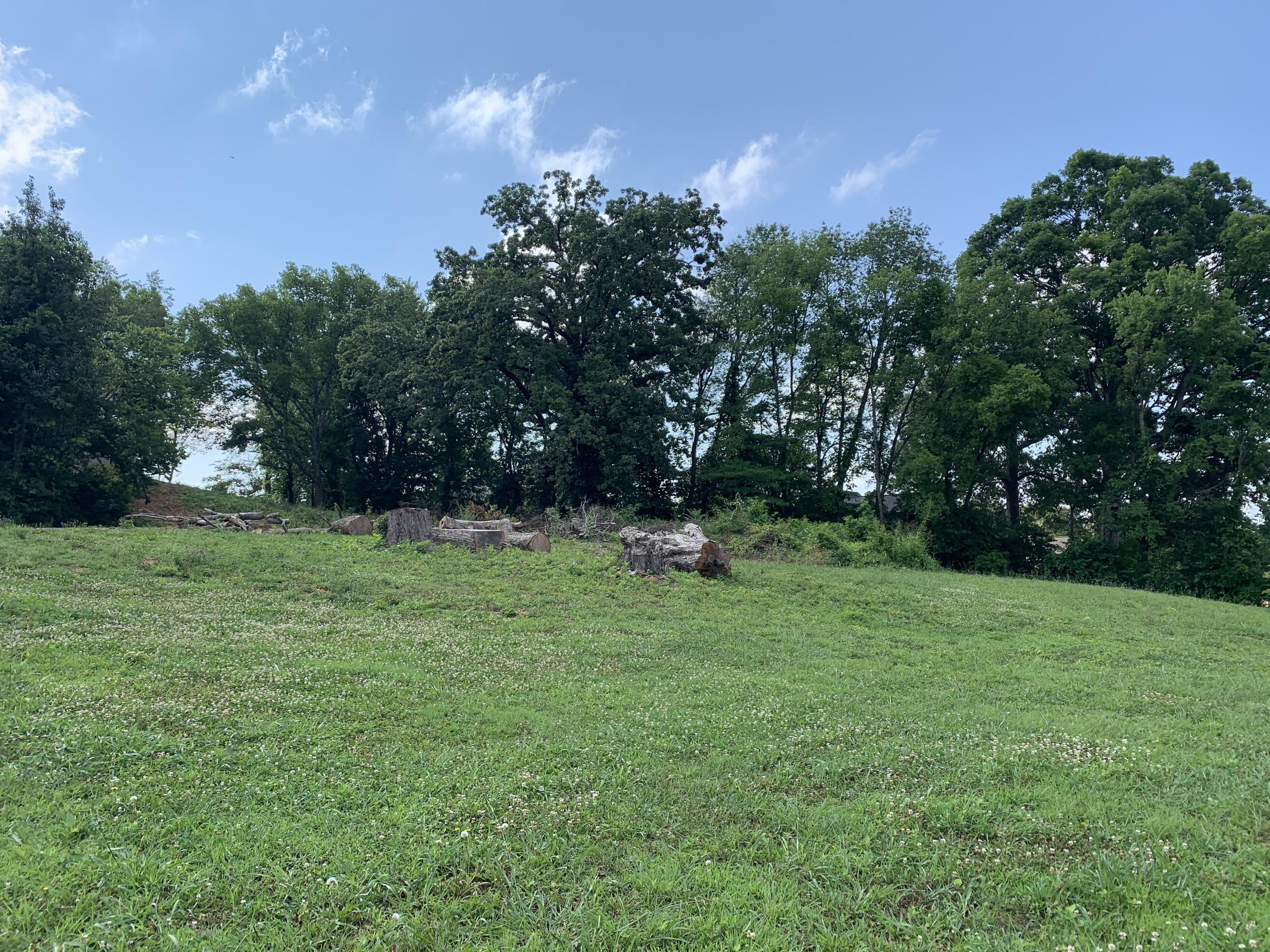 501 Loop Road Knoxville, TN 37934 - Photo 6 of 9 501 Loop 2