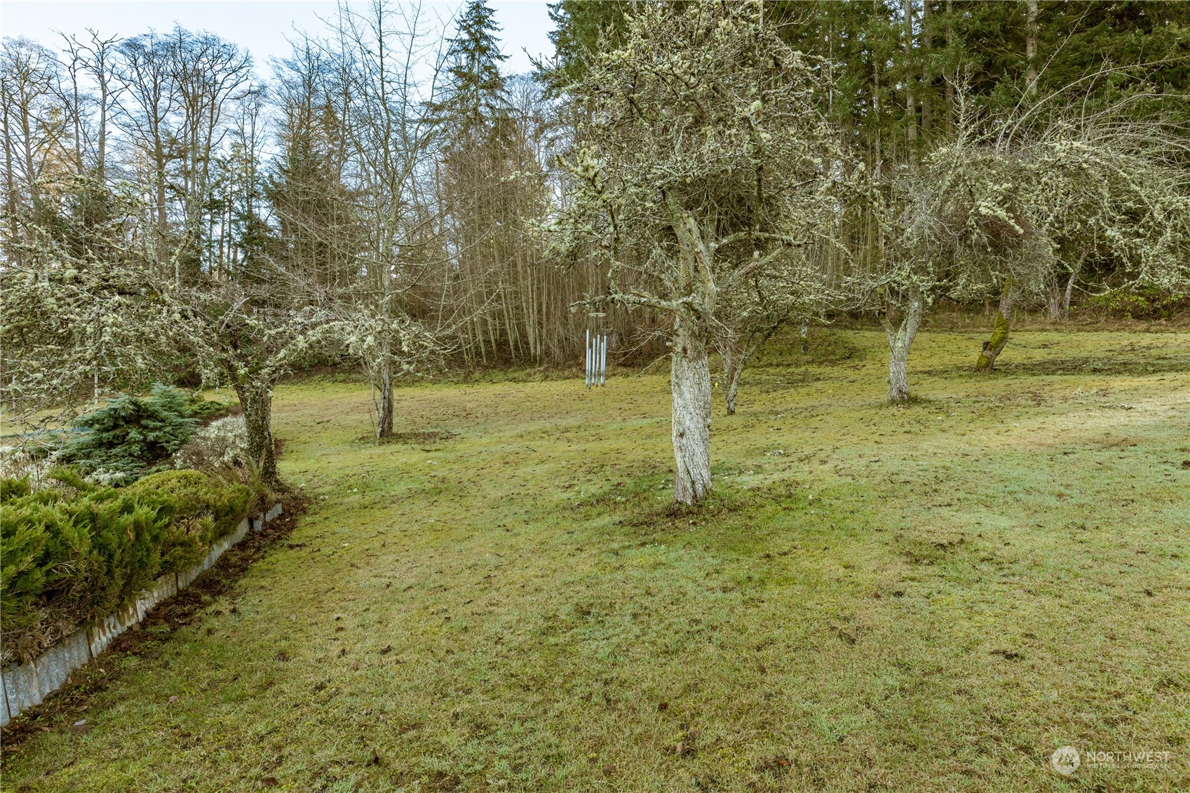 4768 Sharpe Road Anacortes, WA 98221 - Photo 27 of 37 a backyard of a house with lots of green space