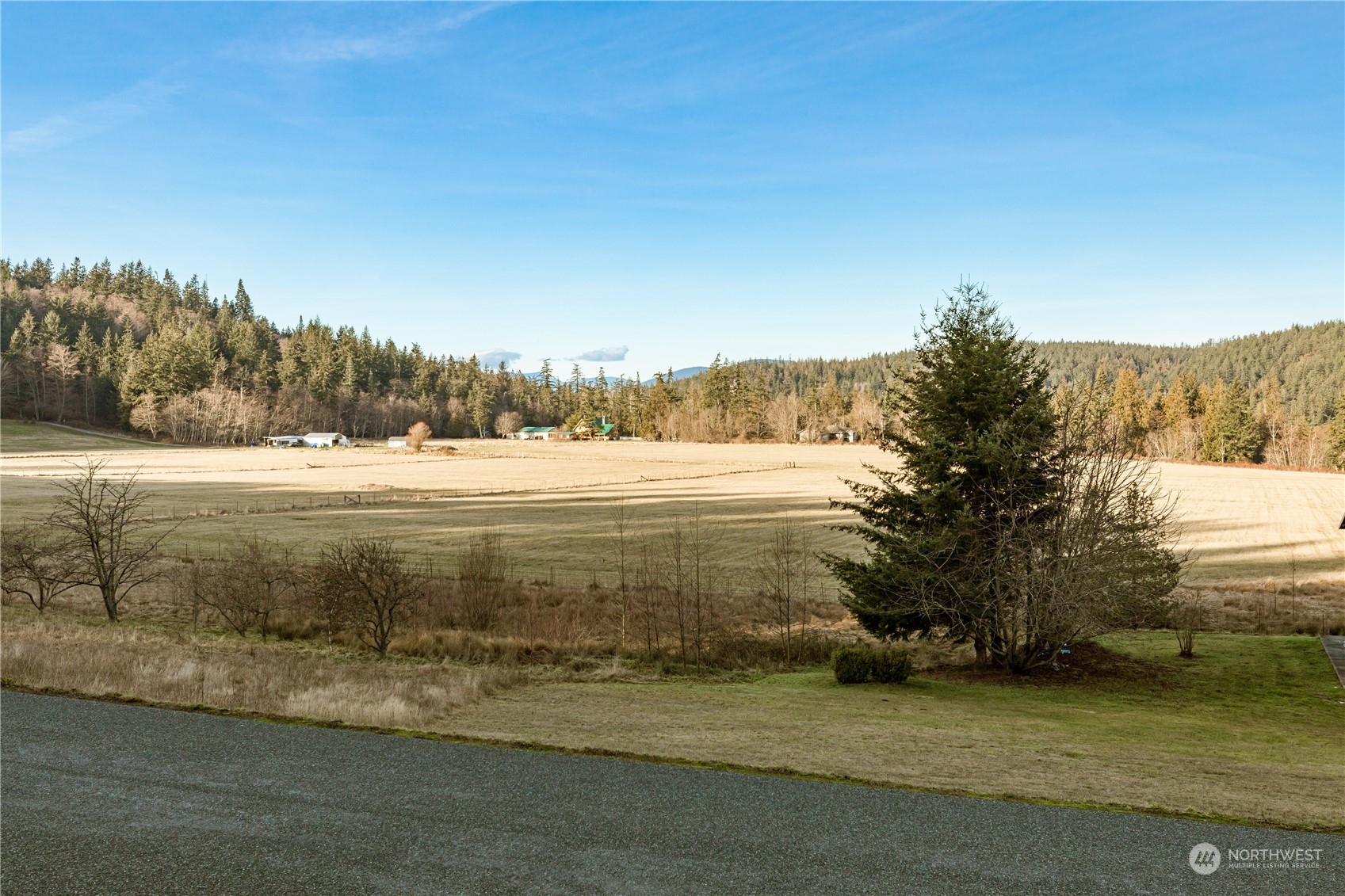 4768 Sharpe Road Anacortes, WA 98221 - Photo 34 of 37 a view of a lake with a mountain