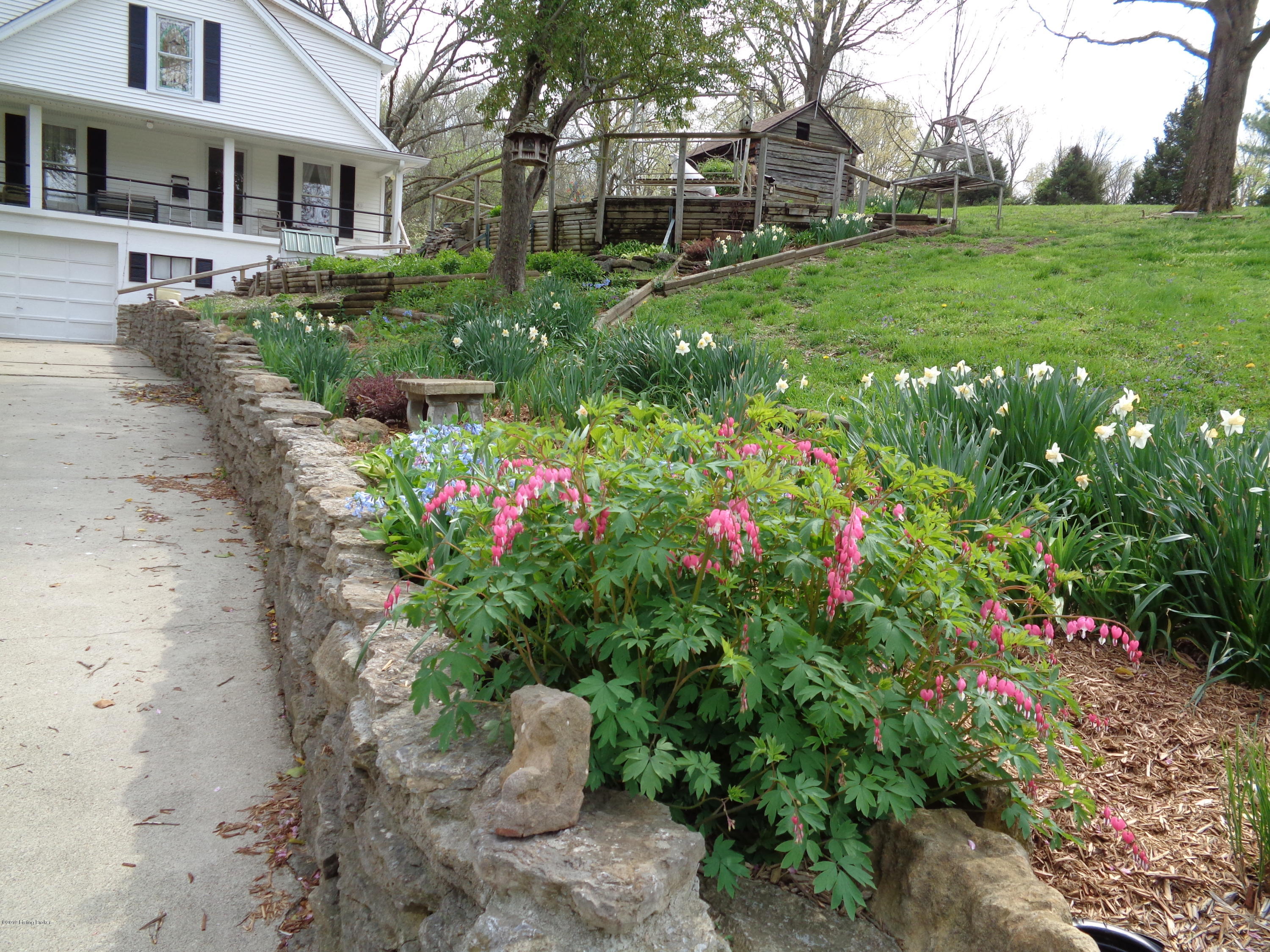 6100 Routt Road Louisville, KY 40299 - Photo 4 of 34 2019-04-18 14.31.21