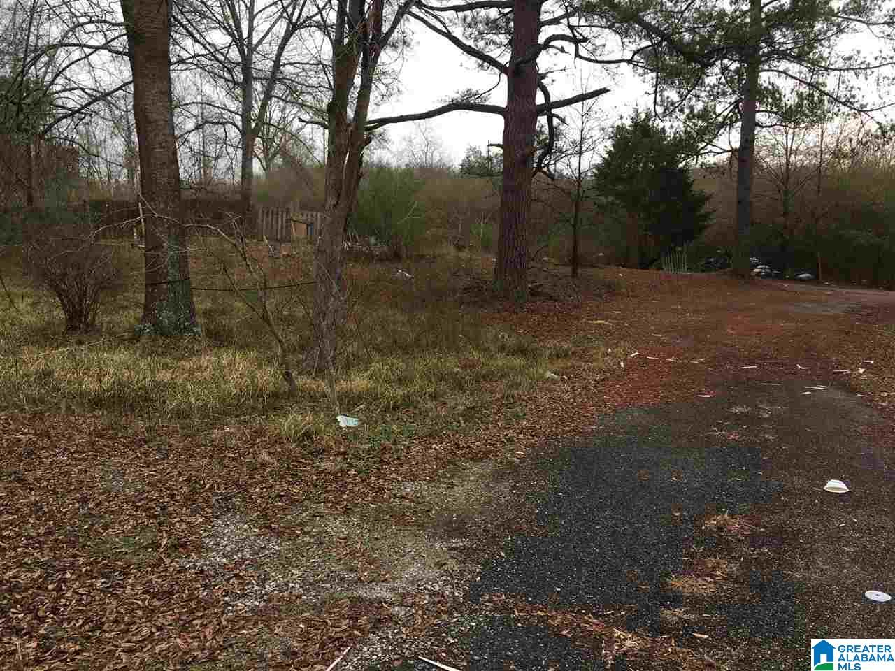 100 Shack Avenue Montevallo, AL 35115 - Photo 3 of 4