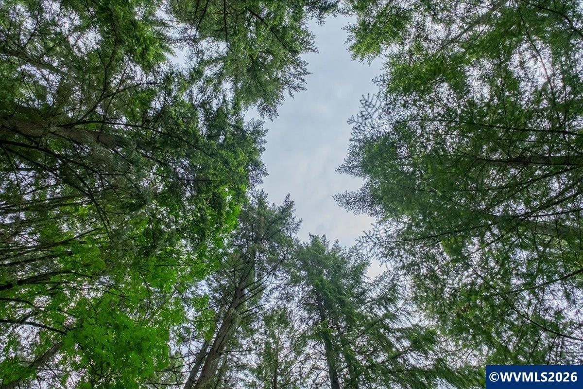 0057485 Next To 40587 Baptist Church Road Lebanon, OR 97355 - Photo 11 of 38