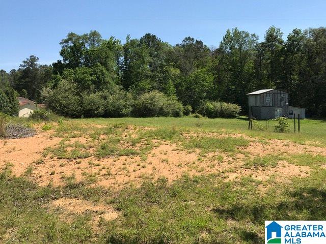 9 Waldrop Road Ashville, AL 35953 - Photo 2 of 5