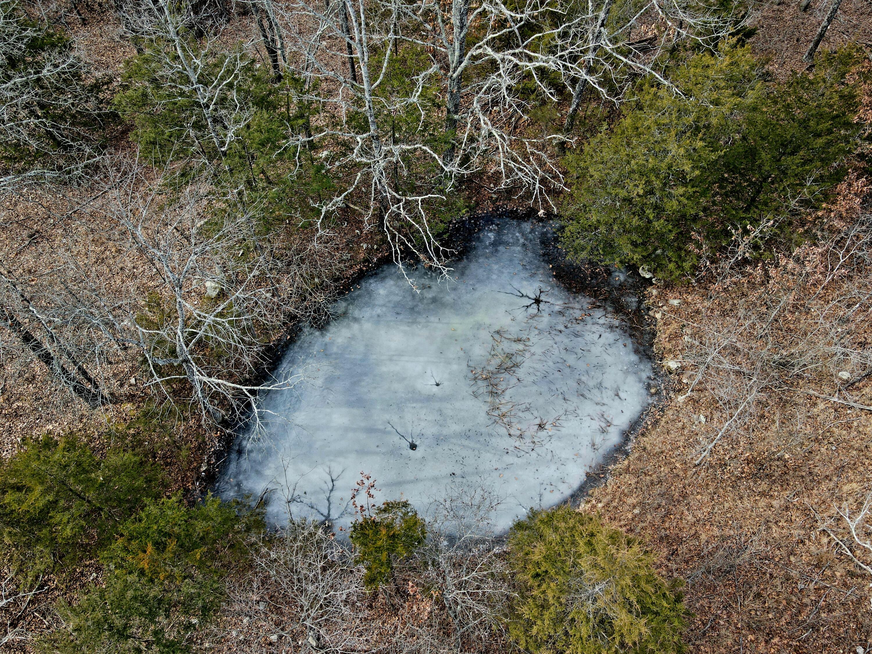 361 Hickory Flats Road Ava, MO 65608 - Photo 43 of 47 dji_fly_20250123_113130_218_173767872136