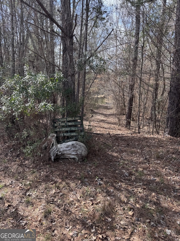 0 Minor Thomaston, GA 30286 - Photo 1 of 32