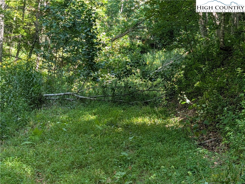 Rock Creek Road Creston, NC 28615 - Photo 16 of 30 Gallery Image 16