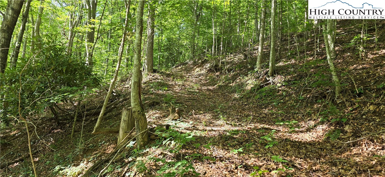 Rock Creek Road Creston, NC 28615 - Photo 17 of 30 Gallery Image 17